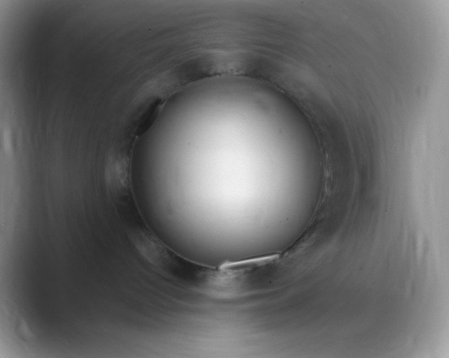 X0000089750096200707051823