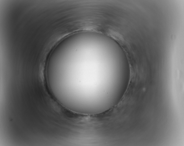 X0000089750098200707051822