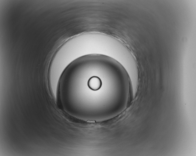 X0000089750099200707051822