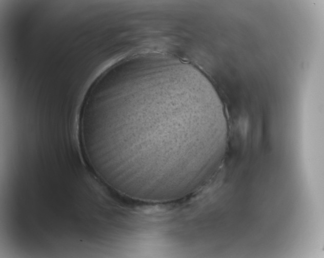 X0000089750100200707051822