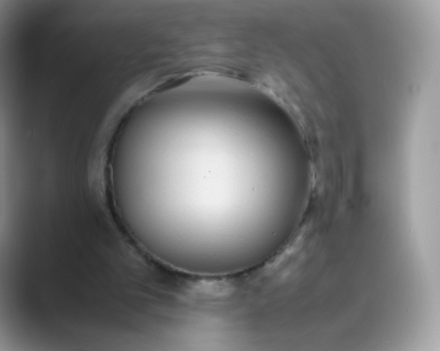 X0000089750101200707051822