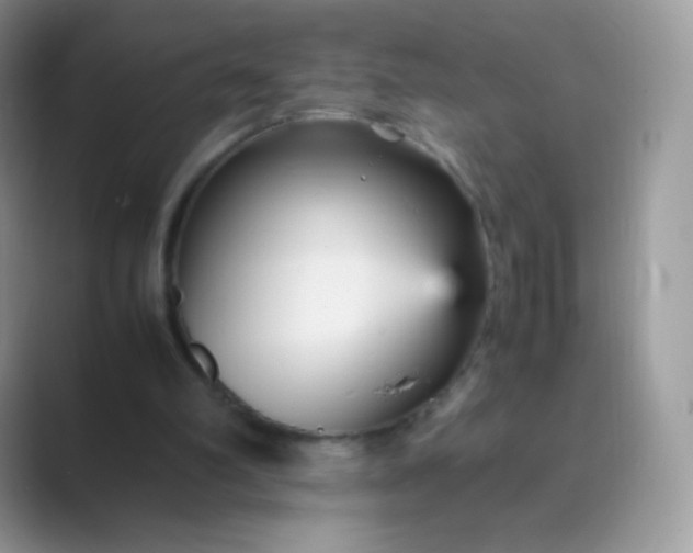 X0000089750102200707051822