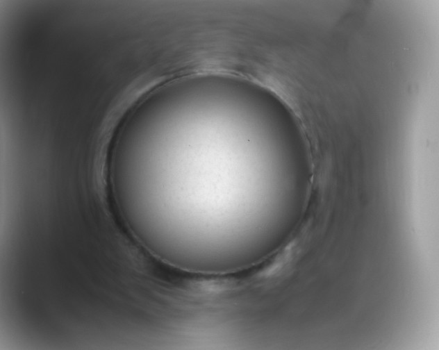 X0000089750103200707051822