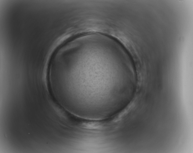 X0000089750104200707051822