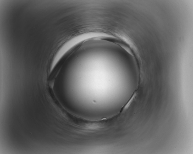 X0000089750105200707051822