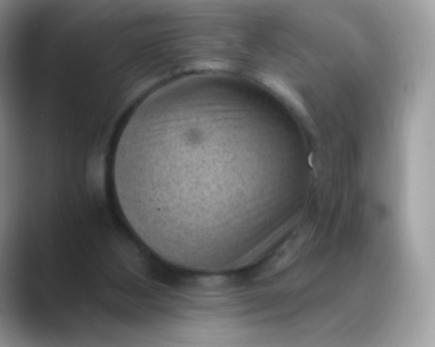 X0000089750108200707051822