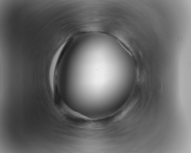 X0000089750109200707051822