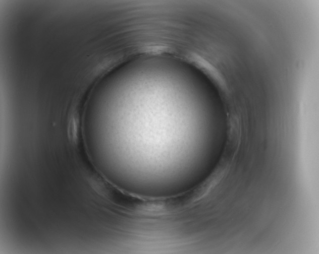 X0000089750110200707051822