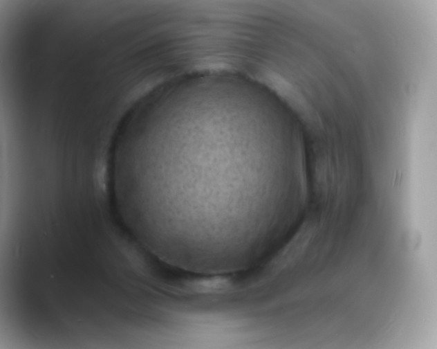 X0000089750112200707051822