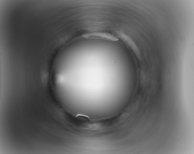 X0000089750113200707051822