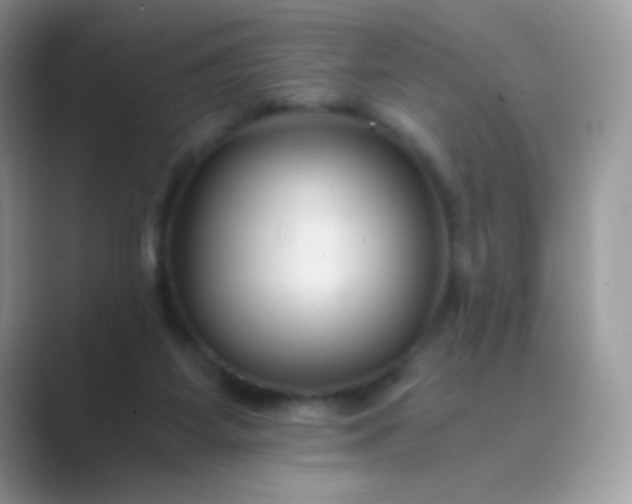 X0000089750115200707051822