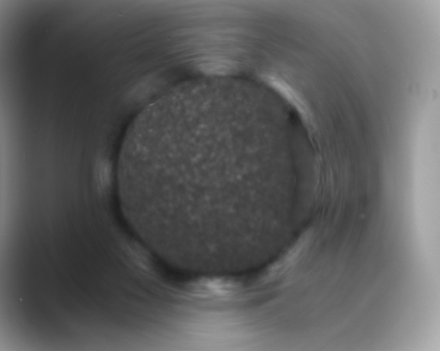 X0000089750117200707051822