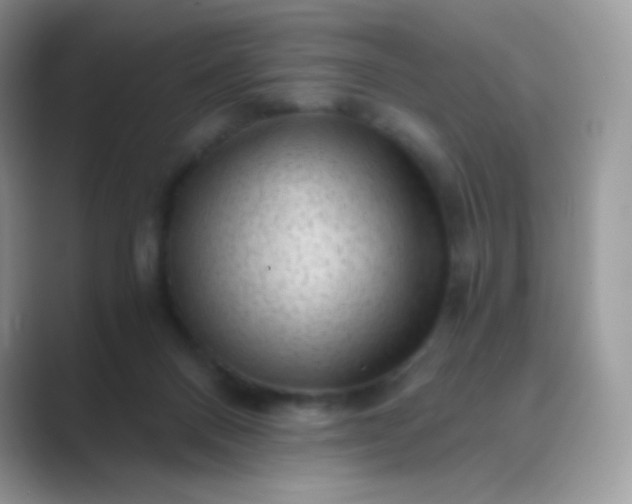 X0000089750120200707051822