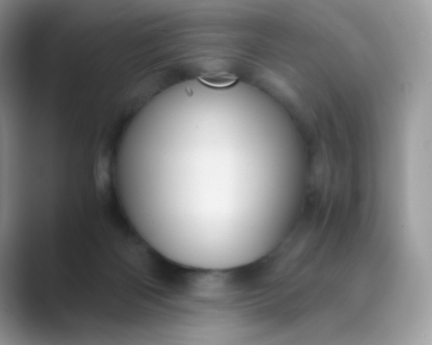 X0000089750122200707051822