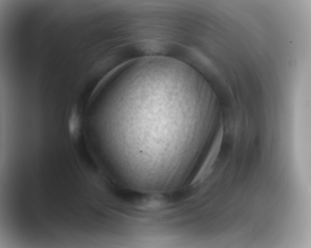 X0000089750124200707051822