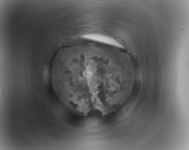 X0000089750127200707051822