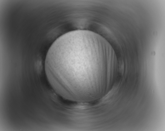 X0000089750128200707051822