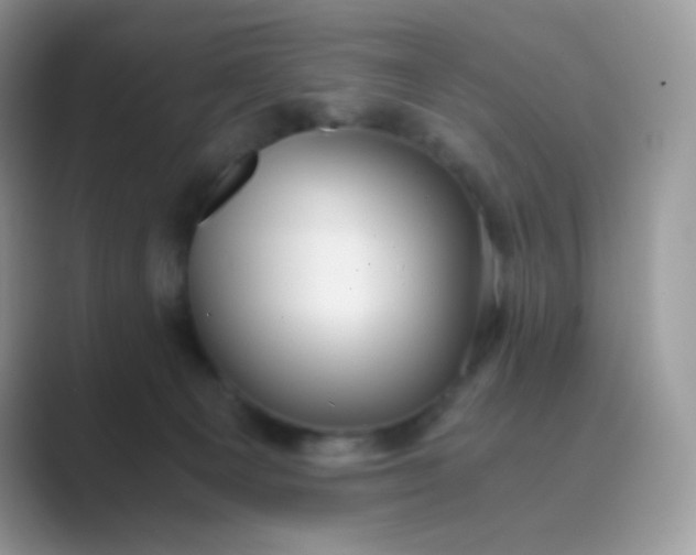 X0000089750129200707051822