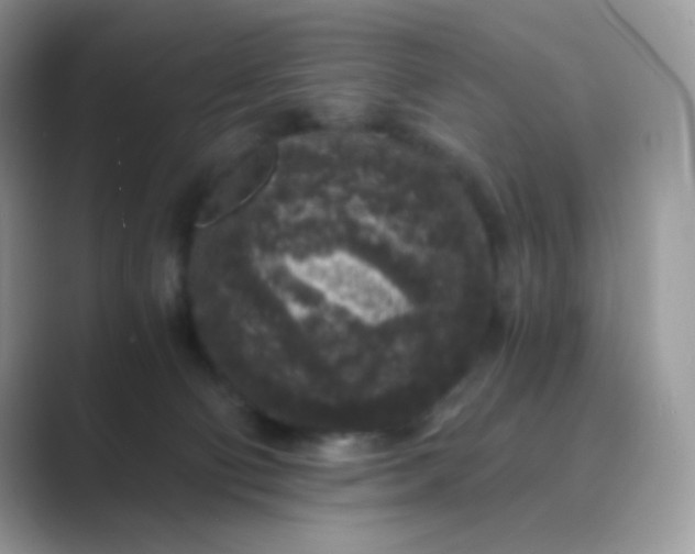 X0000089750130200707051822