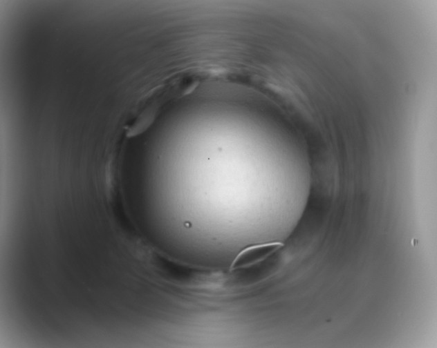 X0000089750131200707051822