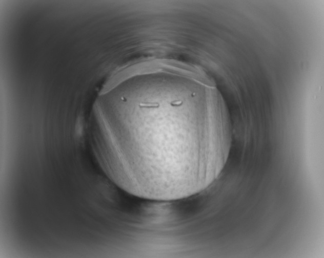 X0000089750132200707051822