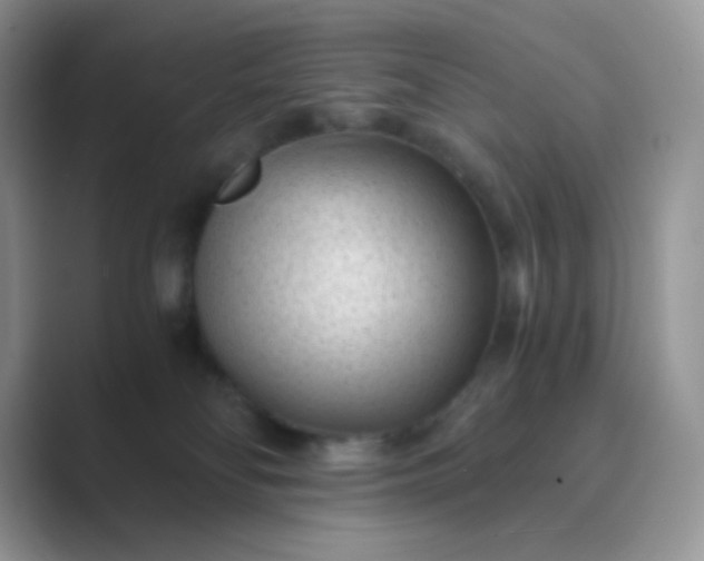 X0000089750134200707051822