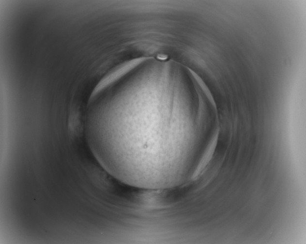 X0000089750136200707051822