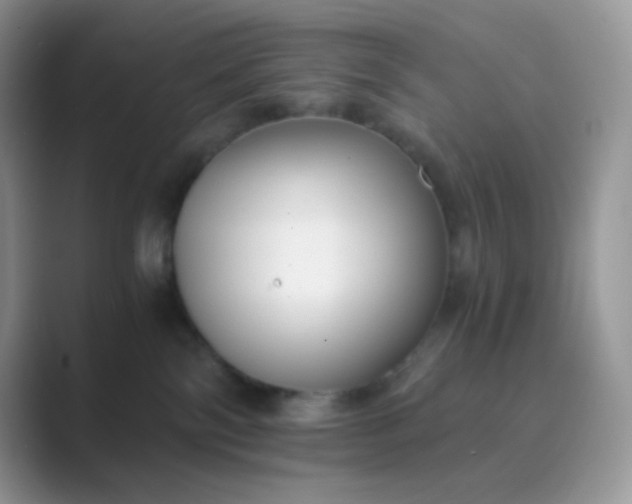 X0000089750138200707051822