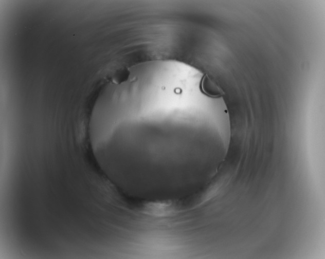 X0000089750139200707051822