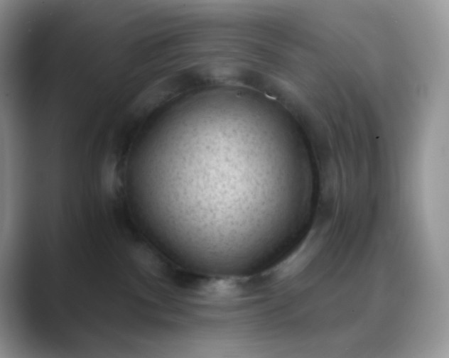 X0000089750140200707051822