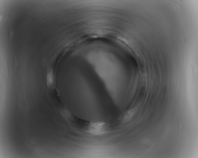 X0000089750143200707051822