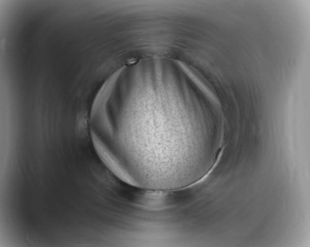 X0000089750144200707051822