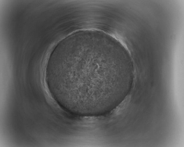 X0000089750145200707051821