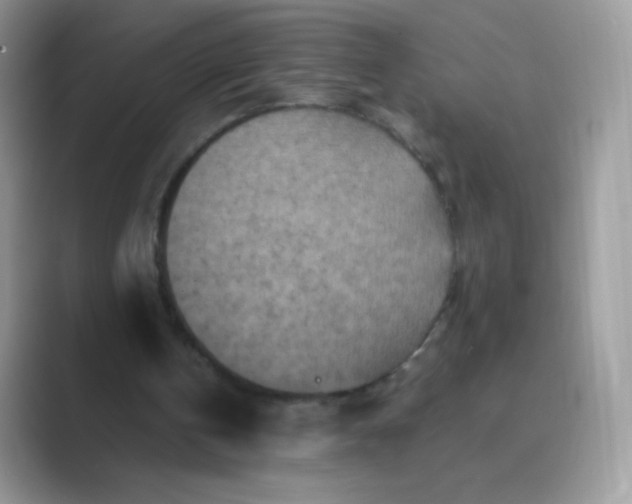 X0000089750146200707051821