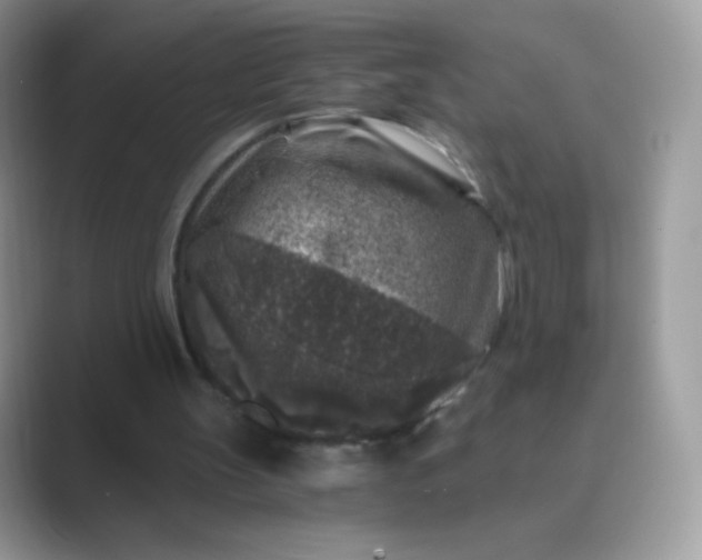 X0000089750147200707051821