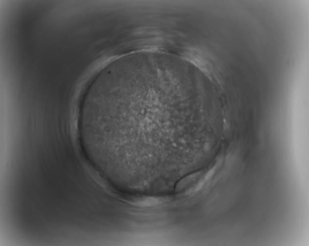 X0000089750149200707051821