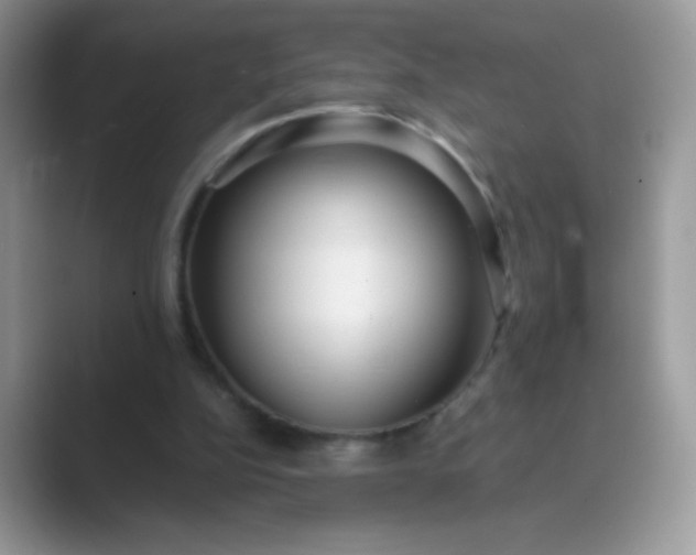 X0000089750152200707051821