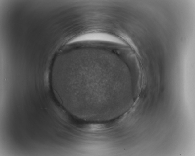 X0000089750154200707051821