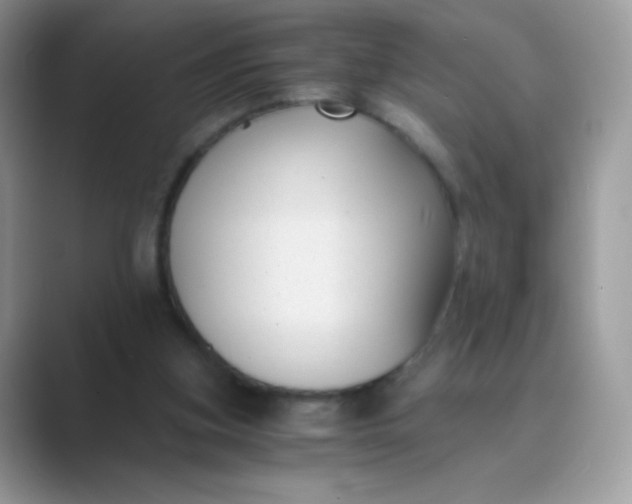 X0000089750155200707051821