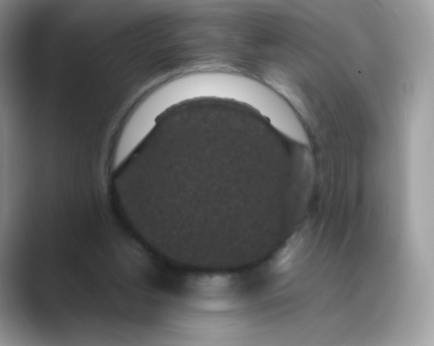 X0000089750156200707051821