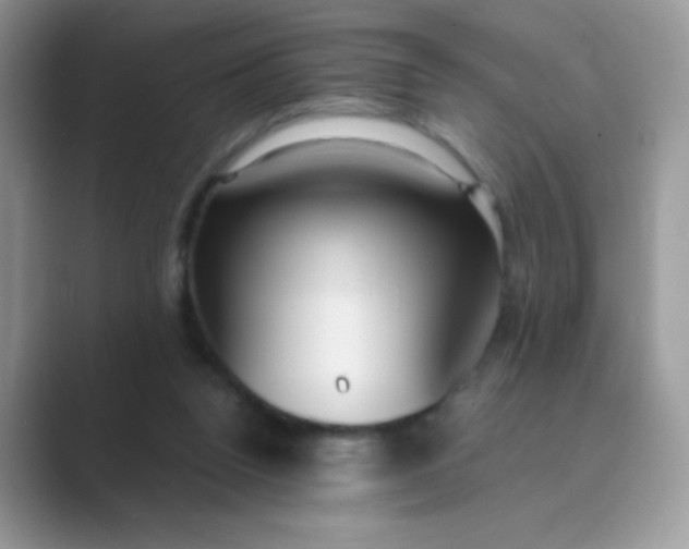 X0000089750160200707051821