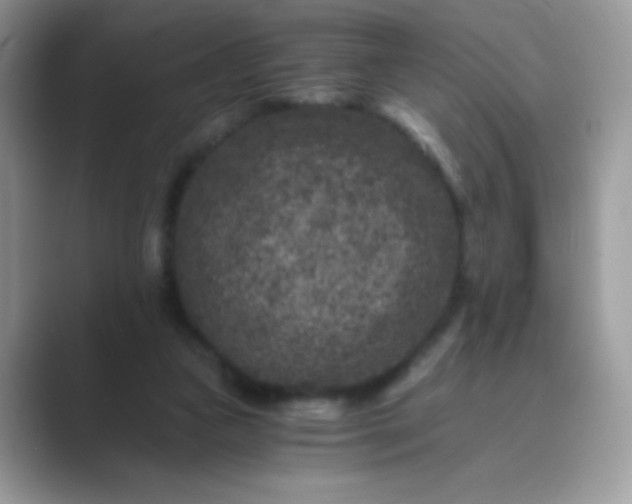 X0000089750161200707051821