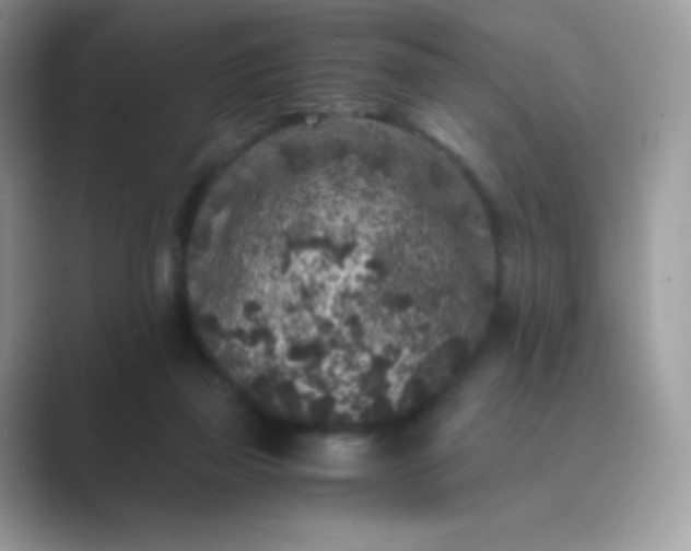 X0000089750165200707051821