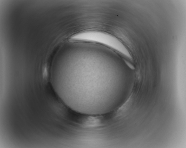 X0000089750166200707051821