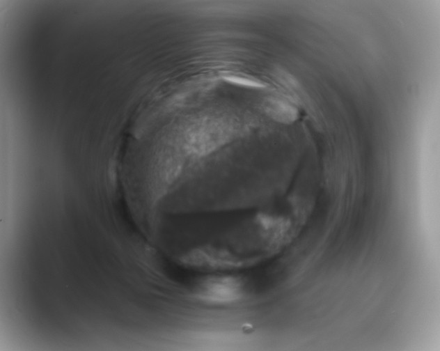 X0000089750169200707051821