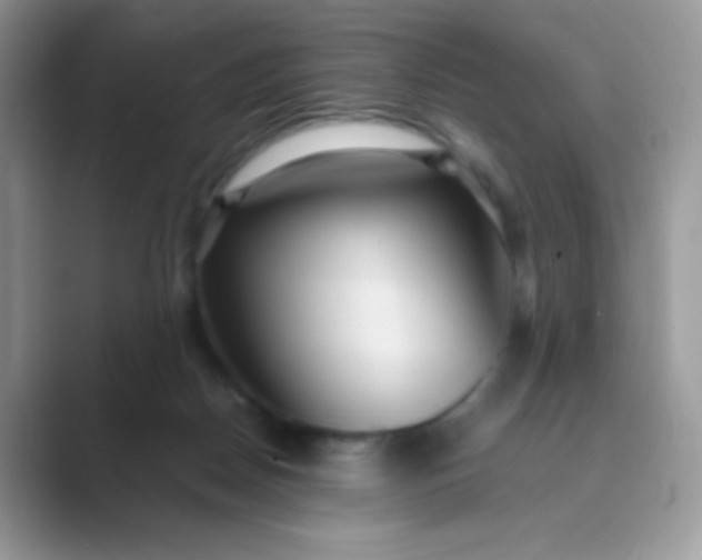 X0000089750170200707051822