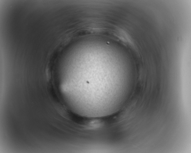 X0000089750173200707051822