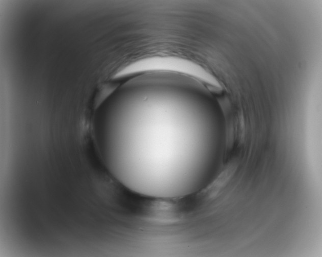 X0000089750176200707051822