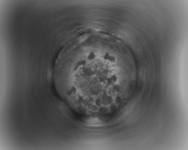 X0000089750177200707051822