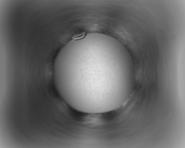 X0000089750179200707051822